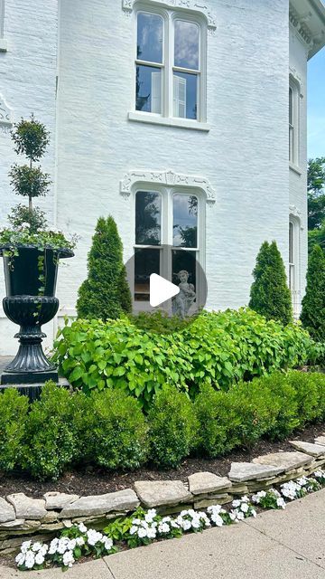 Boxwoods And Hydrangeas Front Of House, Boxwood And Lavender, Green Mountain Boxwood Hedge, Boxwoods Lining Walkway, Boxwood Shapes, Green Gem Boxwood, Green Mountain Boxwood, Front Flower Beds, Landscape Curbing