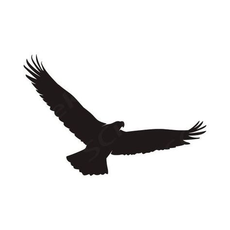 Eagle Png, Bird Silhouettes, Eagle Silhouette, Bird Silhouette, Art Png, School Projects, Animal Art, Png Images, Paint