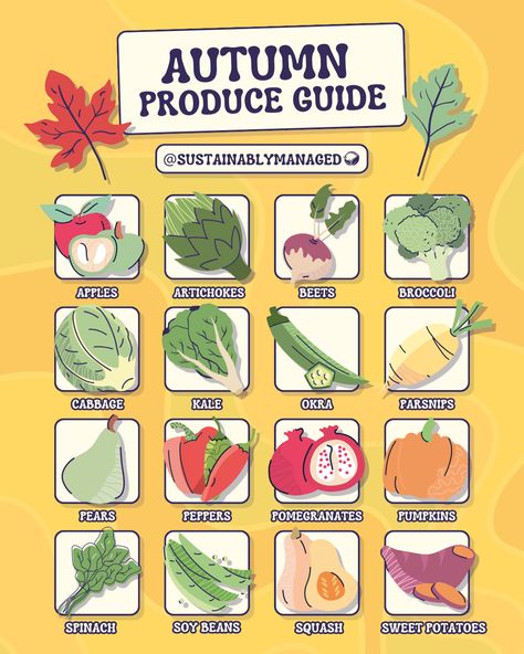 Image of chart with various vegetables and fruits that are in-season during Autumn / Fall. Autumn Produce Guide: APPLES, ARTICHOKES, BEETS, BROCCOLI, CABBAGE, KALE, OKRA, PARSNIPS, PEARS, PEPPERS, POMEGRANATES, PUMPKINS, SPINACH, SOY BEANS, SQUASH, SWEET POTATOES Fall In Season Produce, September Seasonal Produce, November Seasonal Produce, Produce In Season By Month, Winter In Season Produce, Autumn Produce, Seasonal Produce Guide, Fall Produce, Fruit And Veggies