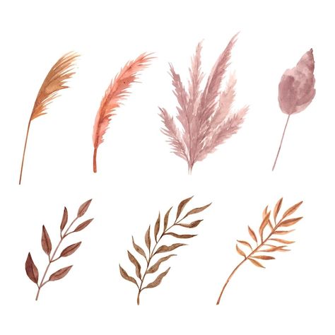 Pampas Grass Tattoo Ideas, Pampas Tattoo, Pampas Grass Tattoo, Pampas Illustration, Dried Flower Tattoo, Grass Images, Watercolor Pampas, Ocean Tattoo, Grass Vector