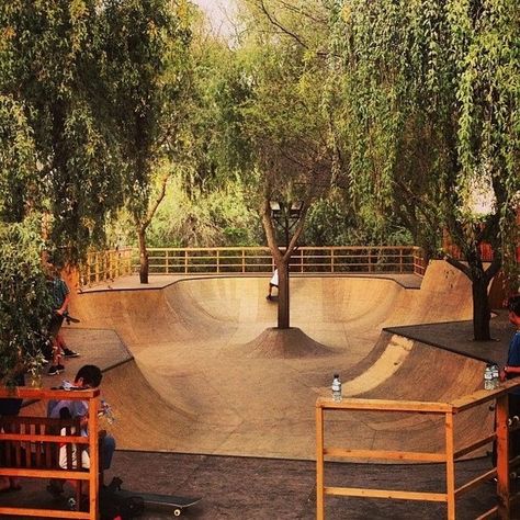 Skatepark in the backyard #skatepark #bmx #photography #trees Backyard Skatepark, Skatepark Design, Skate Ramps, Workspace Ideas, Skate Ramp, Skateboard Ramps, Skateboard Park, Skate And Destroy, Parking Design