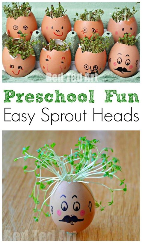 Cress Heads, Preschool Steam, Steam Activity, Preschool Garden, Red Ted Art, Garden Activities, Childcare Activities, Spring Preschool, Steam Activities