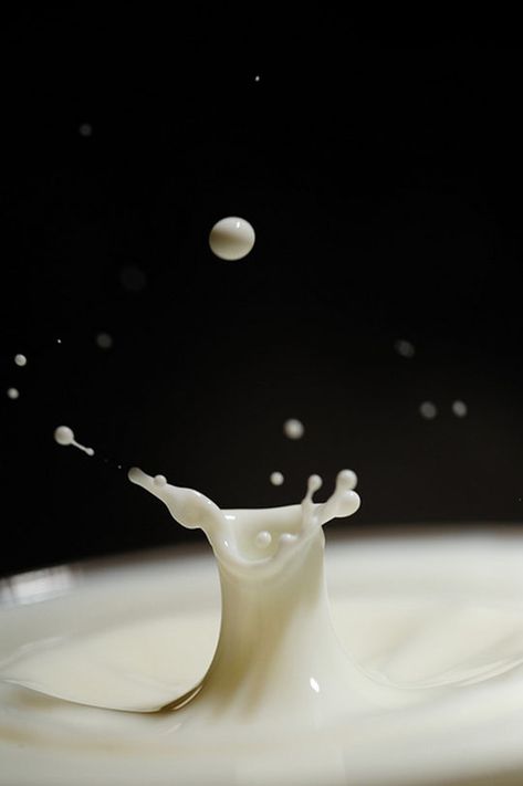 high speed photography, milk splash photo by David Fiala Milk Water Photography, Milk Lifestyle Photography, Spilled Milk Aesthetic, Milk Splash Photography, Objects In Motion, Milk Photo, Milk And Honey Quotes, Milk Crate Furniture, Milk Photography