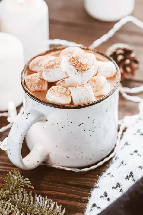 Cinnamon Hot Cocoa Mix | Foodtalk Marshmallow Photo, White Hot Chocolate Recipe, Store Photography, Sipping Chocolate, Vintage Drinks, Peppermint White, Winter Things, Coffee Vintage, White Hot Chocolate