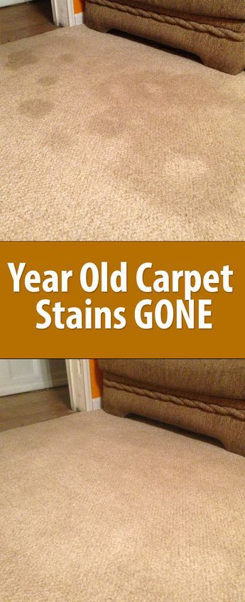 Carpet Stain, Cleaning Painted Walls, Old Carpet, Carpet Cleaning Hacks, Deep Cleaning Tips, Household Cleaning Tips, Cleaning Recipes, Cleaners Homemade, Carpet Stains