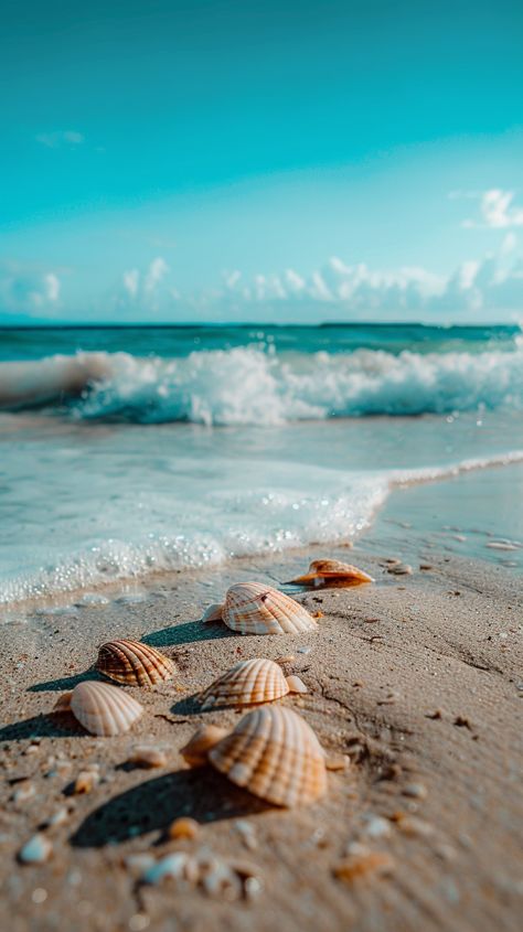 Where every shell tells a story of the sea 🌊📖   #BeachVibes #Seashells #OceanBreeze #SandyToes #BeachTreasure #CoastalLiving #SeasideSerenity #ShorelineMemories #NatureJewels #SeaStory #OceanMagic #TideWhisper #BeachLife #SunnyDays #OceanLove Sea Shells On The Beach, Shell On Beach, Seashell Photography, Seashells On The Beach, Seashells Photography, Sea Stories, Sea Dream, Fish Swimming, She Sells Seashells