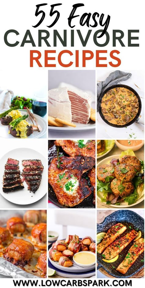 Escape the monotony of your usual carnivore diet with our collection of 55 incredible carnivore recipes. Each dish is a flavor-packed, easy-to-make culinary delight, sure to bring new life to your meal times. Carnivore Diet Recipes, Caveman Diet Recipes, 1200 Calorie Diet Meal Plans, Carnivore Recipes, Caveman Diet, Meat Diet, Meal Times, Carnivore Diet, Low Carb Eating