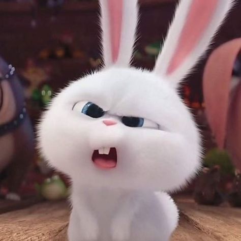 Secret Life Of Pets, Secret Life, The Secret, Easter