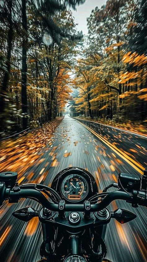 Harley Davidson Bikes Wallpaper, Road Trip Art, Morning Ride, Motorbike Art, Printable Wall Collage, Harley Davidson Wallpaper, Hd Dark Wallpapers, Acrylic Painting Inspiration, Sports Car Wallpaper