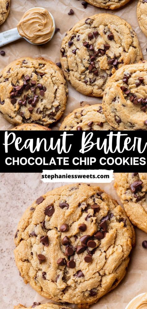 These super chewy peanut butter chocolate chip cookies are the best peanut butter cookies. Peanut Butter Cookies With Choc Chips, The Best Peanut Butter Cookies, Soft Peanut Butter Cookies, Best Peanut Butter Cookies, Peanut Butter Chocolate Chip Cookies, Chocolate Peanut Butter Cookies, Best Peanut Butter, Gourmet Cookies, Peanut Butter Cookie Recipe