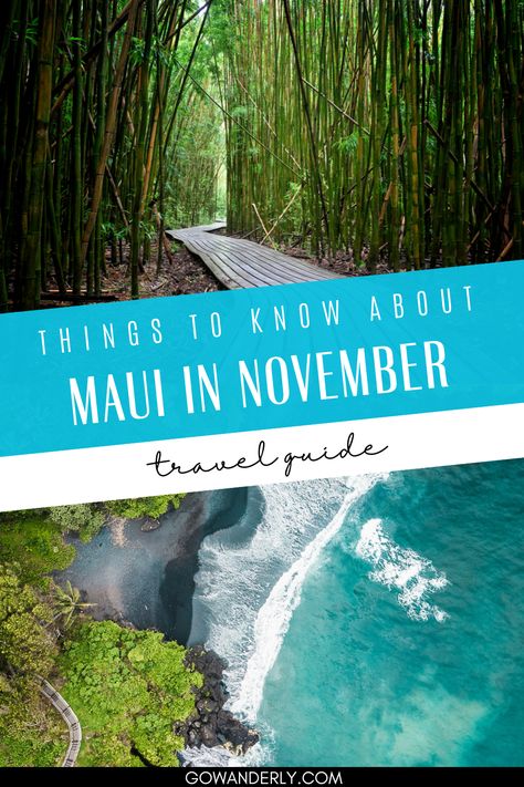 Discover top activities in Maui in November, including the best beaches, exciting adventures, and traditional luaus. Maui In November, What To Do In Maui, Maui Adventures, Best Beaches In Maui, Maui Luau, Hawaii Trip Planning, Maui Photos, Maui Itinerary, Things To Do In Maui