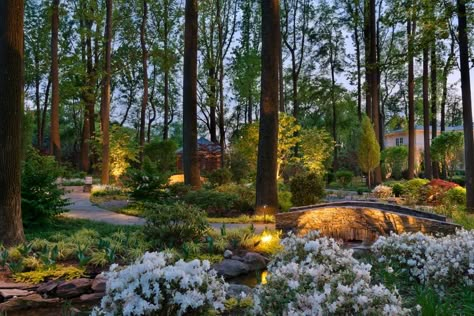 Large Backyard Landscaping, Wooded Landscaping, Meditation Garden, Outdoor Remodel, Design Blogs, Large Backyard, Garden Pictures, Woodland Garden, Garden In The Woods