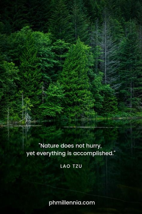 Slow Life Quotes, Nature Lover Quotes, Wilderness Quotes, Nature Does Not Hurry, Nature Quotes Beautiful, Citation Nature, Nature Quotes Inspirational, Lao Tzu Quotes, Hbd Quotes