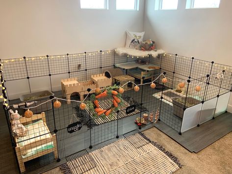 Rabbit Diy Ideas Indoor, C And C Bunny Cage, C&c Bunny Cage, C And C Rabbit Cage, Diy Bunny Room, Inside Rabbit Enclosure, Bunny Room Set Up, Rabbit Enclosure Ideas, Rabbit Pen Ideas