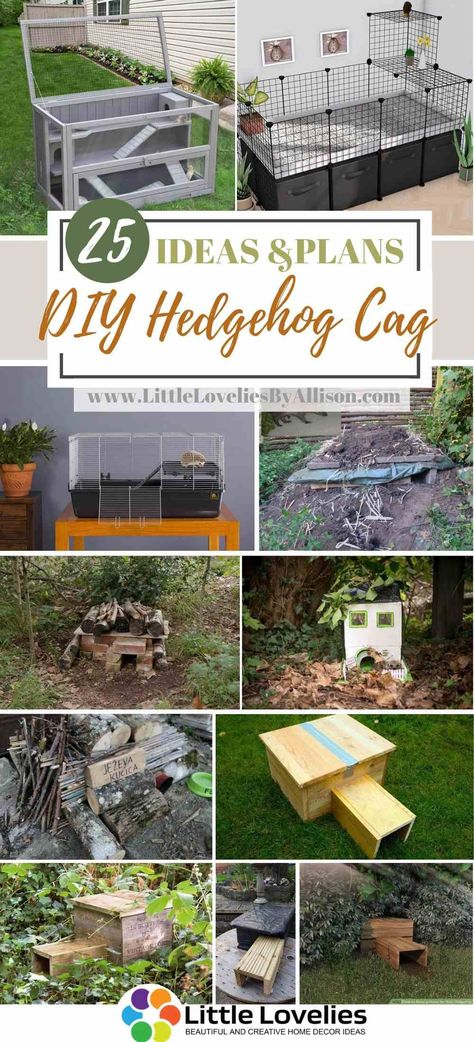 25 DIY Hedgehog Cage – Indoor and Outdoor Enclosures For Your Hedgehog Pygmy Hedgehog Set Up, Hedgehog Home Diy, Make A Hedgehog House, Best Hedgehog Cage, Hedgehog Enclosure Diy, Hedgehog House Diy, Natural Hedgehog Habitat, Hedgehog Habitat Diy, Hedge Hog Cage Ideas