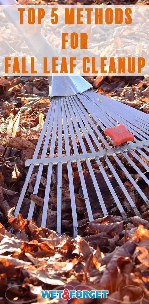 Simplify your autumn clean up with these easy leaf cleanup methods. Yard Clean Up Tips, Leaf Clean Up, Seasonal Gardening, Different Types Of Fences, Yard Cleaning, Mold And Mildew Remover, Get Rid Of Spiders, Fall Clean Up, Diy Leaves