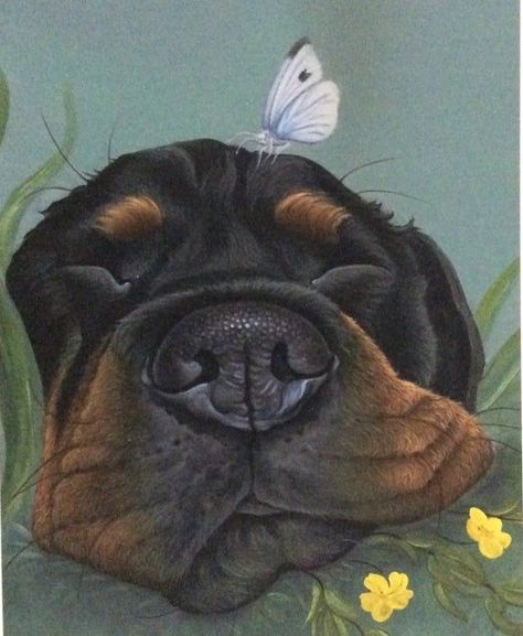 Rottweiler Drawing, Rottweiler Painting, Rottweiler Love, Rottweiler Lovers, Dog Sleeping, Rottweiler Dog, Dog Painting, Cow Art, Print Painting