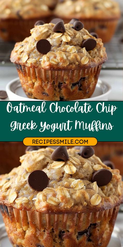 Moist and tender Oatmeal Chocolate Chip Greek Yogurt Muffins made with wholesome oats, creamy Greek yogurt, and rich chocolate chips. A healthier, delicious option perfect for breakfast or a snack. Ready in just 30 minutes! Healthy Muffins With Oats, Best Oatmeal Muffins, Chocolate Chip Oat Bites, Quick Oats Muffin Recipes, Moist Oatmeal Chocolate Chip Muffins, Breakfast Muffins Chocolate Chip, Baking With Oatmeal, Oatmeal Chocolate Chip Muffin Recipe, Chocolate Chip Muffins Oatmeal