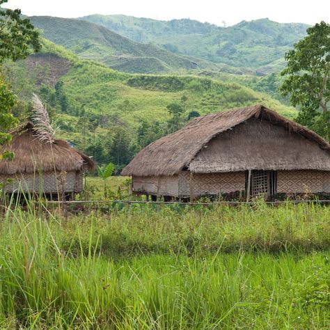 Living in a simple village has been their life and worked to have the resources they could get to live. #FilledWithHope #Philippines #YoungGirls #Women #WomenEmpowerment Rural Philippines, House On The Rock, Mountain Village, Village Life, Dungeons And Dragons, Farmer, Philippines, House Styles, Flowers