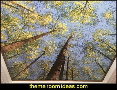 Forest Ceiling Mural, Forest Mural Bedroom, Avatar Bedroom, Painted Ceiling Mural, Forest Ceiling, Birch Bedroom, Dark Wall Mural, Door Posters, Photo Mural Wall