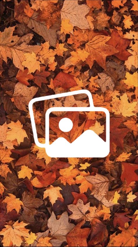 Fall Logos For Apps, Fall App Icons Photos, Fall Photos Icon, Fall Aesthetic App Icons Photos, Fall Pinterest Icon, Autumn App Icons Photos, Ios Photo App, Android Icons, Orange Icons:)