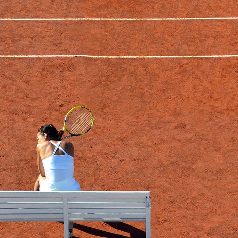 Carrie Soto Is Back, Taylor Jenkins Reid, Tennis Aesthetic, Tennis Life, Tennis Clubs, Sporty And Rich, Wimbledon, Tennis Players, Tennis Racket