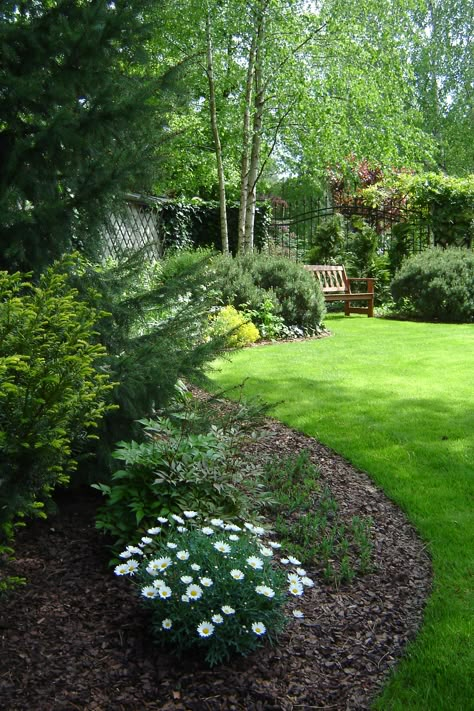 Budget Curb Appeal, Side Yard Garden, Back Garden Landscaping, Easy Garden Ideas Landscaping, Sunny Garden, Landscaping Ideas On A Budget, Front Garden Landscape, Backyard Garden Landscape, Front Yard Garden Design