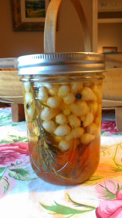 Pickled Wild Onions with Local Honey and Rosemary Honey Pickled Onions, Wild Onions Recipes, Garden Meals, Wild Onion, Wild Onions, Foraging Recipes, Canning Jam, Meatless Recipes, Local Honey