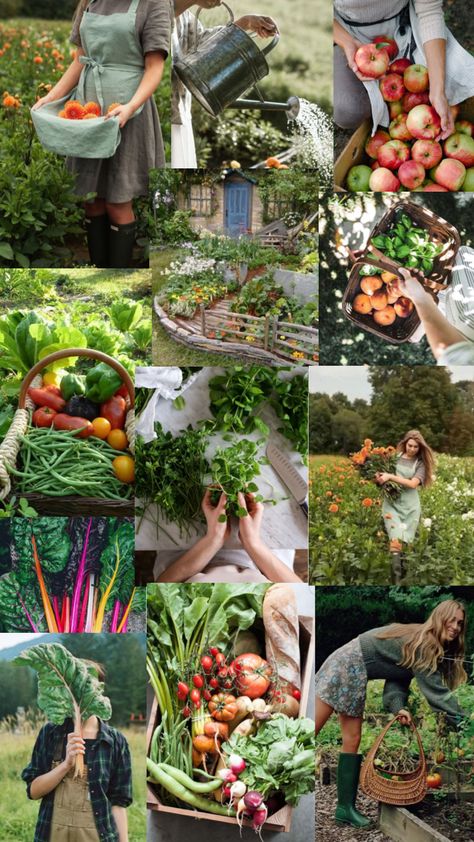 Homesteading Pictures, Homesteading Photography, Garden Vision Board, Urban Homesteading Aesthetic, Homestead Mood Board, Homesteading Family Aesthetic, Vegetable Garden Aesthetic, Gardening Aesthetic, Owning A Farm Aesthetic