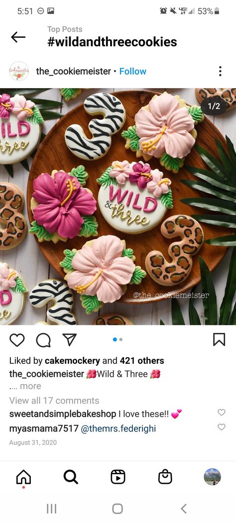 Young Wild And Three Safari Birthday, Young Wild And Three Birthday Cookies, Two Wild Cookies Girl, Two Wild Birthday Cookies, Wild And Three Cookies, Young Wild And Three Cookies, Two Wild Cookies, Jungle Animal Cookies, Girl Safari Party