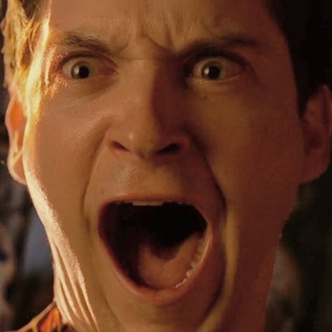 Scream Meme, Spiderman Funny, Parker Spiderman, Peter Parker Spiderman, Tobey Maguire, Spiderman 3, Reaction Memes, Spider Man 2, Kirsten Dunst