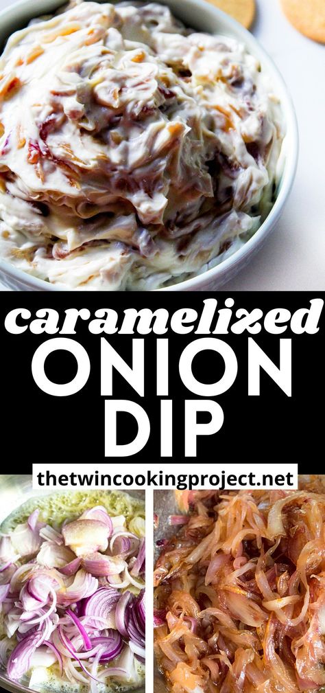 Red Onion Dip Recipe, Bbq Breakfast, Homemade Onion Dip, Blue Cheese Pasta, Vegetarian Snack, Burger Sandwich, Onion Dip Recipe, Night Picnic, Caramelized Onion Dip