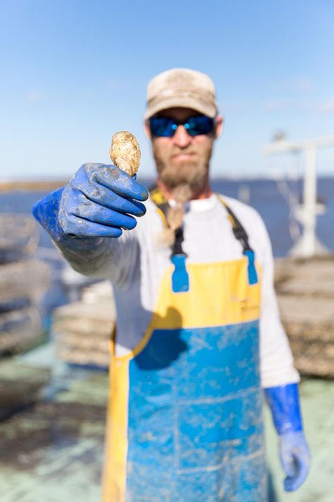 Oyster Farming on North Carolina's Outer Banks North Beach, Outer Banks, North Carolina, Mood Board