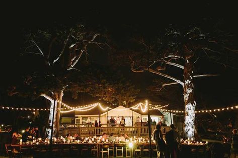 Martin Johnson House Wedding Lighting Market Lights Wireless Uplights Martin Johnson House Wedding, La Valencia Hotel, Market Lights, Birch Aquarium, House Reception, La Jolla Wedding, Johnson House, Martin Johnson, Market Lighting