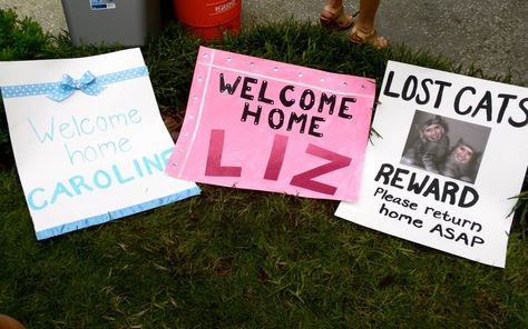 Lost Lion signs for Gamma Chi's returning home on bid day Home Sweet Home Sorority Bid Day, Welcome Home Sorority Signs Bid Day, Sweet Home Kappa Gamma Bid Day, Built To Last Bid Day, Gamma Chi Signs Bid Day, Lost Cat, Bid Day, Light Box, Lion