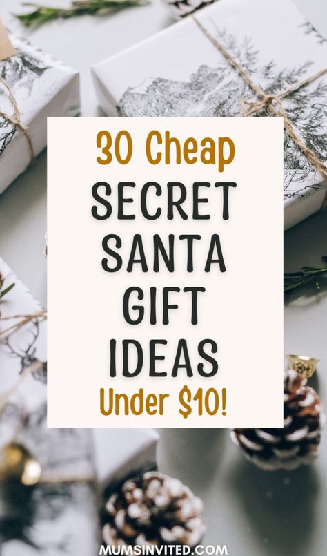 Discover amazing cheap Secret Santa gift ideas that won't break the bank! Perfect for co-workers, friends, family. These budget-friendly options under $10 include fun DIY projects, unique finds from Dollar Tree & small gifts from Amazon. Whether you’re shopping for men, women, kids, or teachers, there are inexpensive & creative options that feel special without the high price tag. Make your 2024 Christmas gift exchange memorable with affordable, easy & cute gifts everyone will enjoy! Teacher Secret Santa Ideas Diy Gifts, Cheap Christmas Presents, 10 Dollar Gifts, Cheap Presents, Small Gifts For Men, Secret Santa Gift Ideas, Budget Friendly Christmas Gifts, Small Gifts For Friends, Girly Christmas Gifts