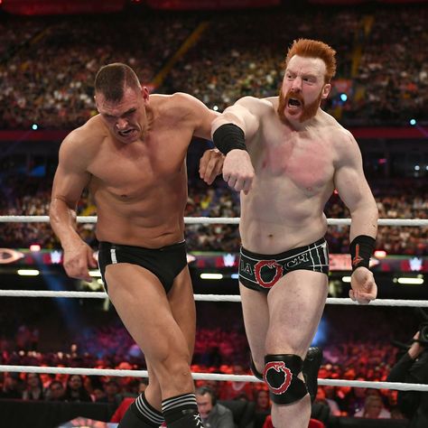 Sheamus Wwe, Intercontinental Championship, Professional Wrestler, Wwe Superstars, Hall Of Fame, All Time, Wwe, Sumo Wrestling, Wrestling