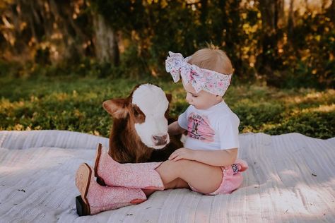 Cow First Birthday Pictures, Cow Minis Photoshoot, Cowgirl First Birthday Pictures, Cow Themed Photo Shoot, One Year Old Cow Photoshoot, Cowgirl 1st Birthday Photoshoot, Calf Photoshoot, Baby Cow Photoshoot, Baby Cowgirl Photoshoot