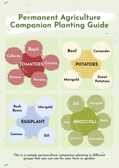 Free Permaculture Companion Planting Chart - Download in PDF, Illustrator | Template.net Seed Planting Guide, Potato Companion Plants, Planting Chart, Companion Planting Guide, Companion Planting Chart, Companion Planting Vegetables, Micro Garden, Companion Gardening, Garden Companion Planting