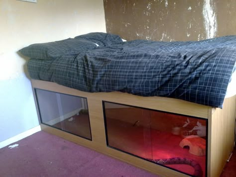 Bed viv!!! - Reptile Forums Snake Cage, Snake Cages, Diy Snake, Diy Reptile, Snake Terrarium, Bearded Dragon Terrarium, Bearded Dragon Cage, Snake Enclosure, Bearded Dragon Habitat