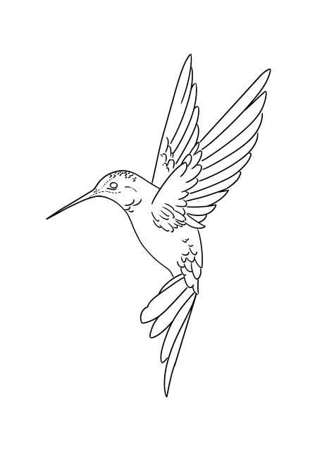 Humming Bird Tattoo For Women, Troy Tattoo, Hummingbird Sketch, Animal Stencils, Hummingbird Drawing, Flor Tattoo, Chicanas Tattoo, Animal Stencil, Hummingbird Tattoo