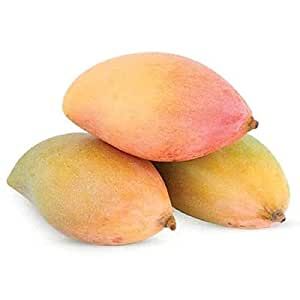 Fresh Mango, Thothapuri 1 kg : Amazon.in: Grocery & Gourmet Foods Mango Varieties, Occupational Health, Flavor Profiles, Tea Recipes, Gourmet Recipes, Mango