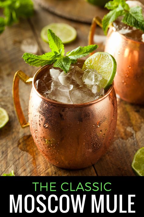 Moscow Mule: The Most Googled Cocktail Moscow Mule Receita, Moscow Mule Recipe Classic, Holiday Mocktail, Moscow Mule Cocktail, Moscow Mule Recipe, Vodka Lime, Specialty Drinks, Copper Mug, Hot Cocktails