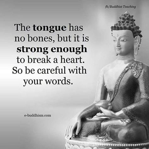 Untitled Buddha Quotes Inspirational, Buddhism Quote, Buddhist Quotes, Buddha Teachings, Relationship Facts, Buddha Quote, The Tongue, Buddha Quotes, Ideas Quotes