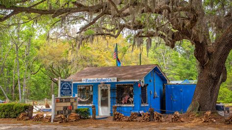 Deep South Aesthetic, Edisto Island South Carolina, Edisto Beach Sc, Marsh House, Outdoor Adventure Photography, Crawdads Sing, Beach Road Trip, South Carolina Vacation, Edisto Beach