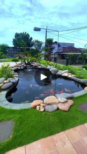 17K views · 8.5K reactions | INSPIRATION - Beautiful koi pond & garden 🌿
By @bless_koi_semarang
⠀
☆☆☆ W E L C O M E ☆☆☆⠀
⠀
Thank you guys for visiting us. 😀👍⠀
⠀
We're here to promote koi & nature-related hobby in general.⠀
⠀
If you like our posts, we invite you to:⠀
1/ follow us @zakurai.koi,⠀
2/ turn "on" the posts notifications, 🔔⠀
3/ give us ⭐ in Favorites.⠀
⠀
Disclaimer: ⚠️⠀
All images/media are copyright to their respective owners.⠀
Please contact us for credit or removal.⠀
⠀
Indonesian only:⠀
Untuk informasi jadwal breeding season & stok bibit F1/anakan impor silakan hubungi kami.⠀
⠀
For another projects, please check:⠀
👉 @yago.canary⠀
👉 @teutonig.boxer⠀
⠀
Have a nice day & God bless. ♥️♥️⠀
⠀
= GALAXY =⠀
⠀
#trending #luxury #nature #beautiful #pet #fish #hobby #carp #koifish #k Koi Pond Garden, Fish Pond Gardens, Pond Garden, Koi Fish Pond, Pet Fish, Fish Pond, Koi Pond, All Images, Semarang