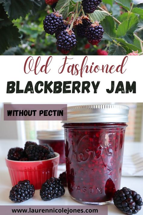 Are you ready to make the best homemade blackberry jam (with or without pectin)? I love the taste of wild blackberries in the summer and do anything I can to get out and pick buckets of them. It's jam-making season! This easy recipe tastes the best when smothered over top of a piece of toast, or English muffin. #easyblackberryjam