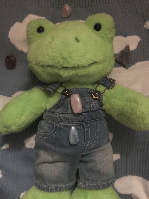 Frog Pictures, Bear Outfits, Green Frog, Cute Stuffed Animals, Cute Frogs, Build A Bear, Indie Kids, Cute Plush, Green Aesthetic