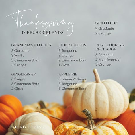 Thanksgiving Diffuser Blends, Fall Diffuser Blends Young Living, Diffuser Blends Young Living, Fall Essential Oil Blends, Thanksgiving Essentials, Cinnamon Bark Essential Oil, Fall Essential Oils, Fall Diffuser Blends, Doterra Diffuser Blends