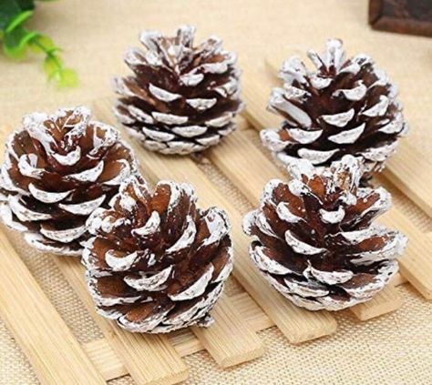 White Pine Cone, Decorative Bowl Filler, Christmas Pine Cones, Diy Pinecone, Neutral Christmas Decor, Pinecone Ornaments, Pine Cone Decorations, Pine Cone Crafts, Well Decor